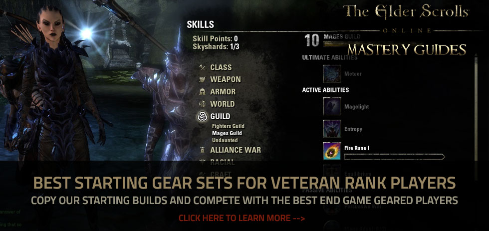 Whats A Good Weapon Dmg For My Tank Eso